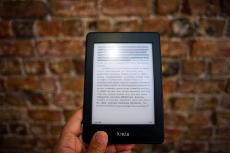 Click Here to Turn the Page: When E-Books Become Something Else Entirely